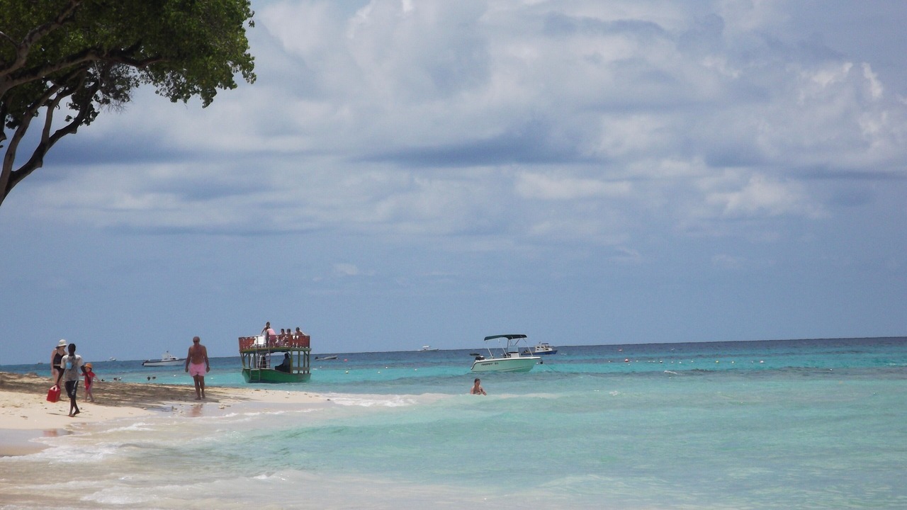 Photo of Others in Old Trees Bay