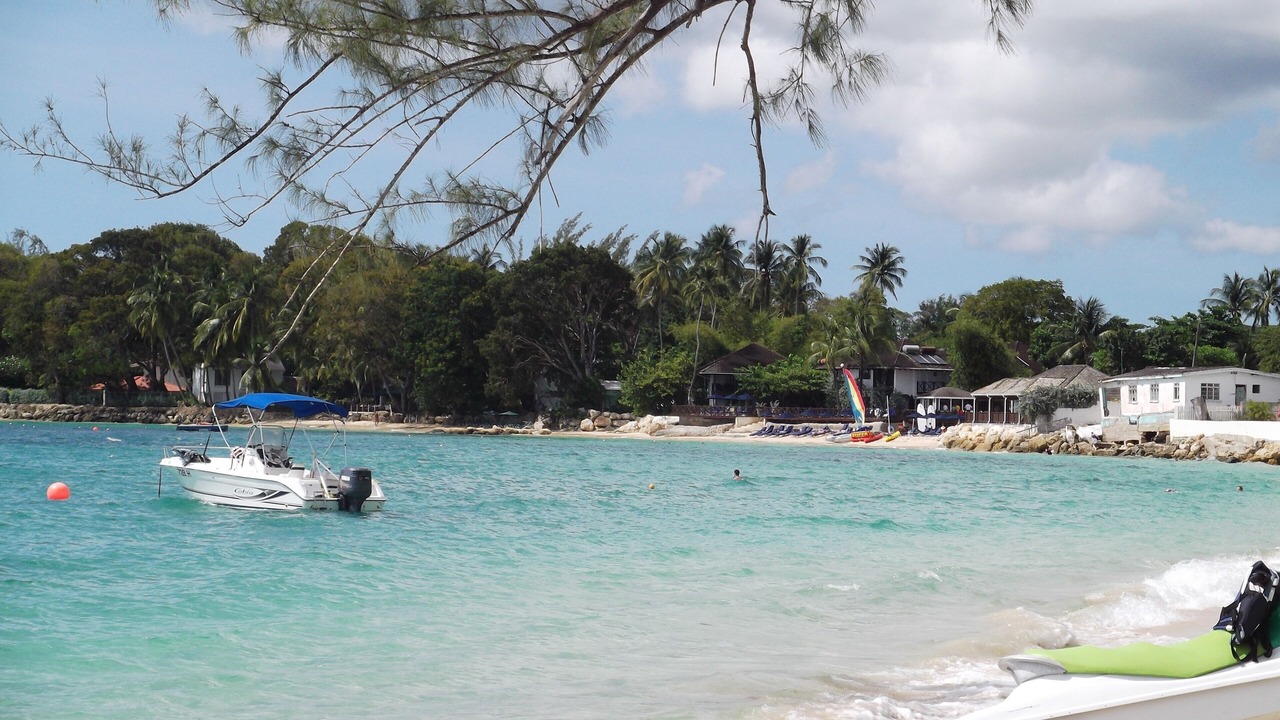 Photo of Others in Old Trees Bay
