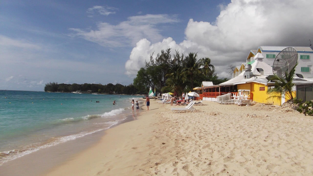 Photo of Others in Old Trees Bay