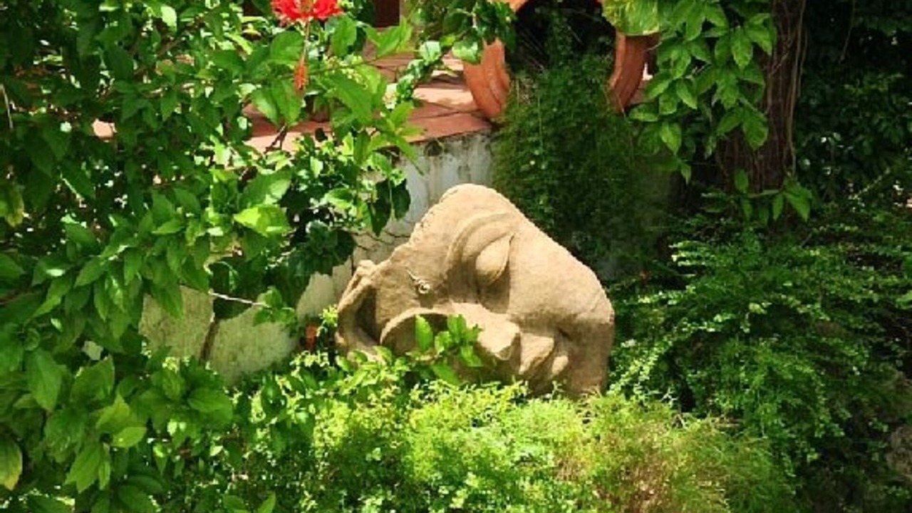 Photo of Outdoor in Rock Dundo