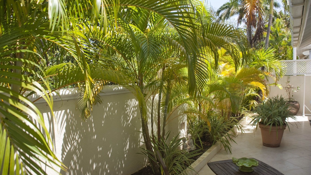 Photo of Outdoor in Porters