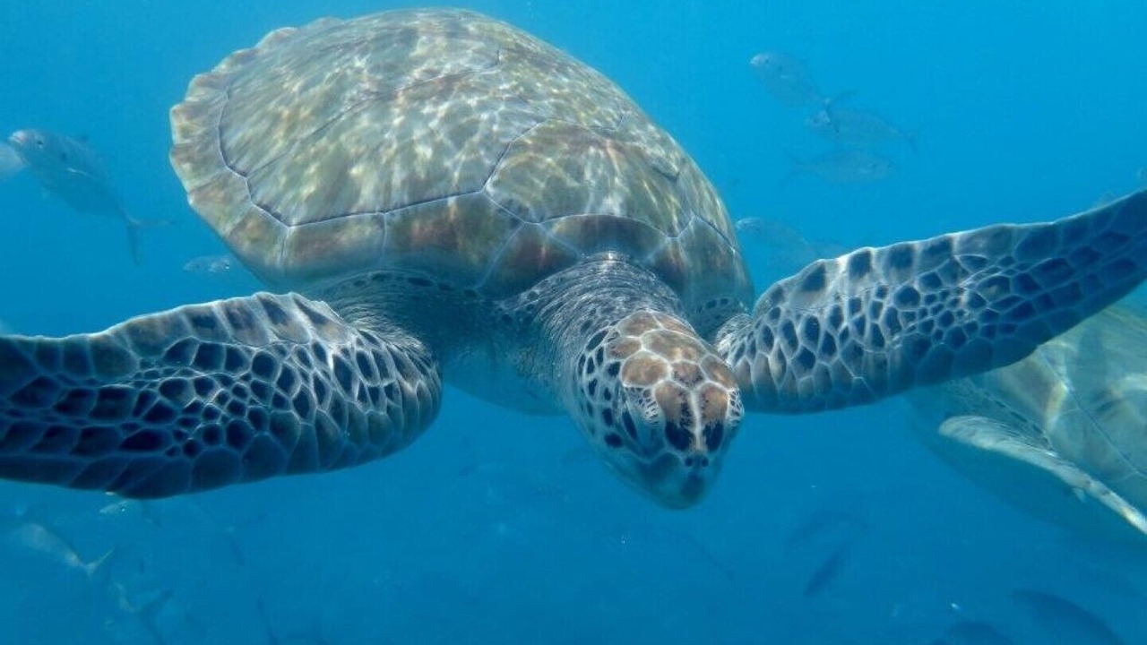 Photo of Others in Blue Waters