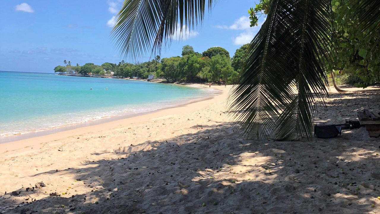 Photo of Others in Lower Carlton Beach