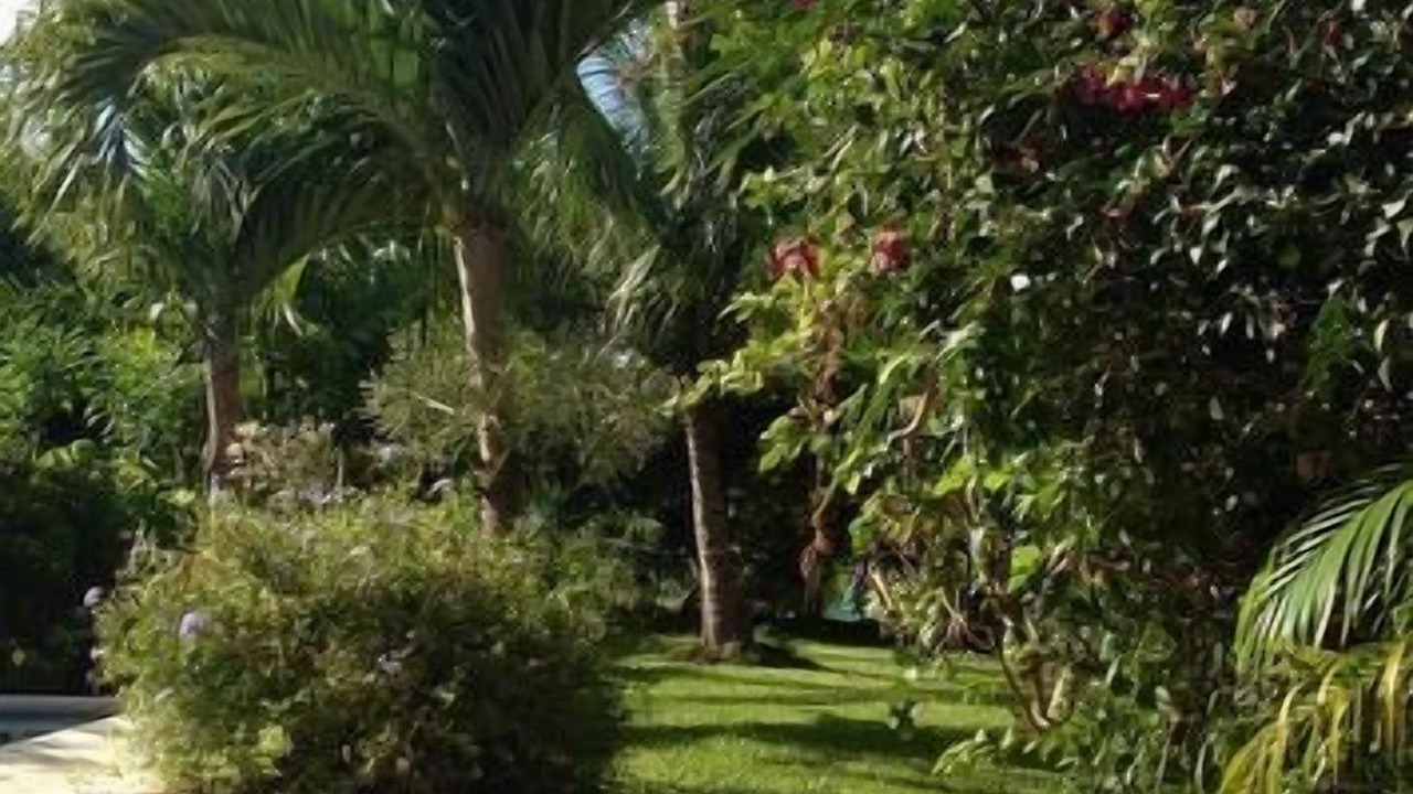 Photo of Outdoor in Lower Carlton Beach