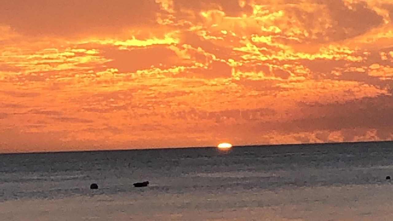 Photo of Others in Lower Carlton Beach
