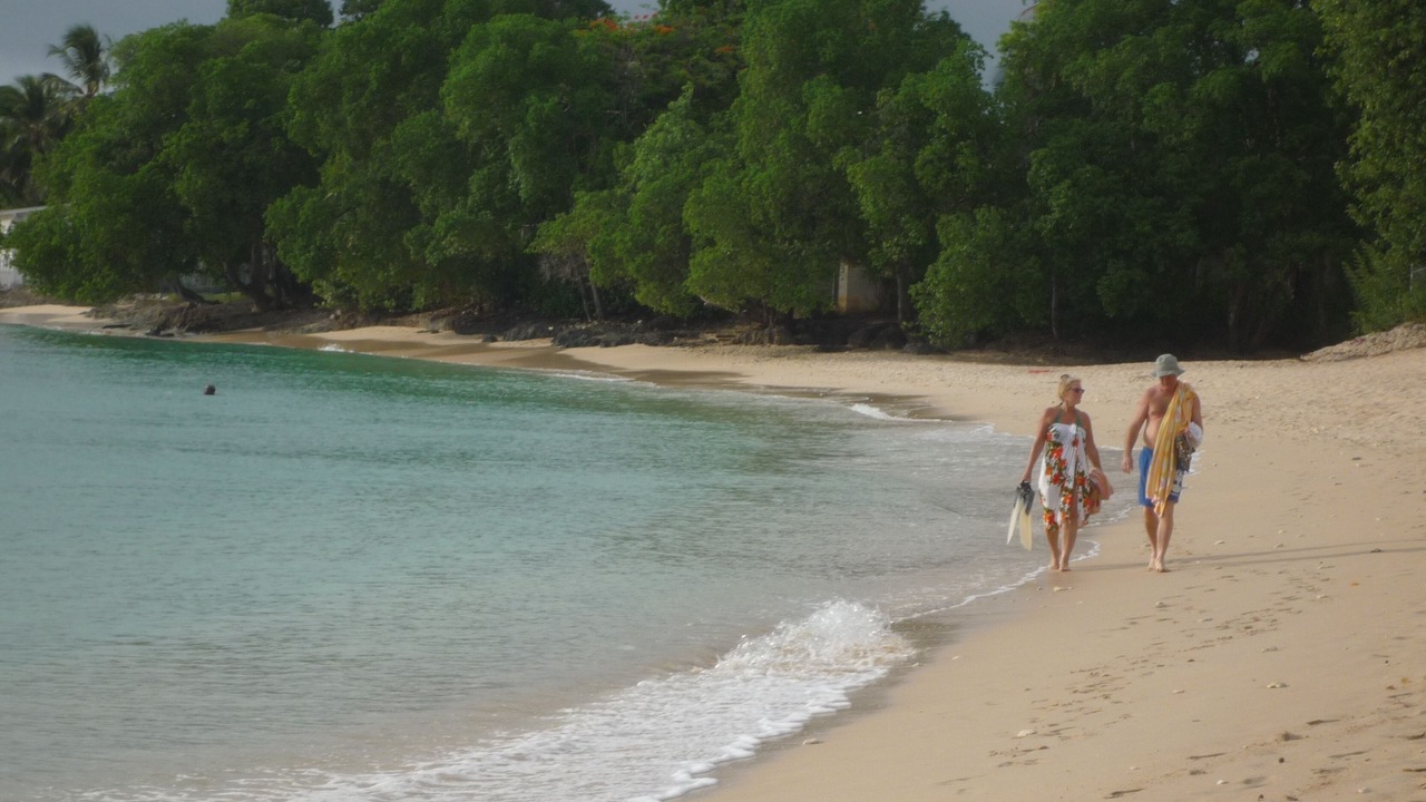 Photo of Others in Lower Carlton Beach