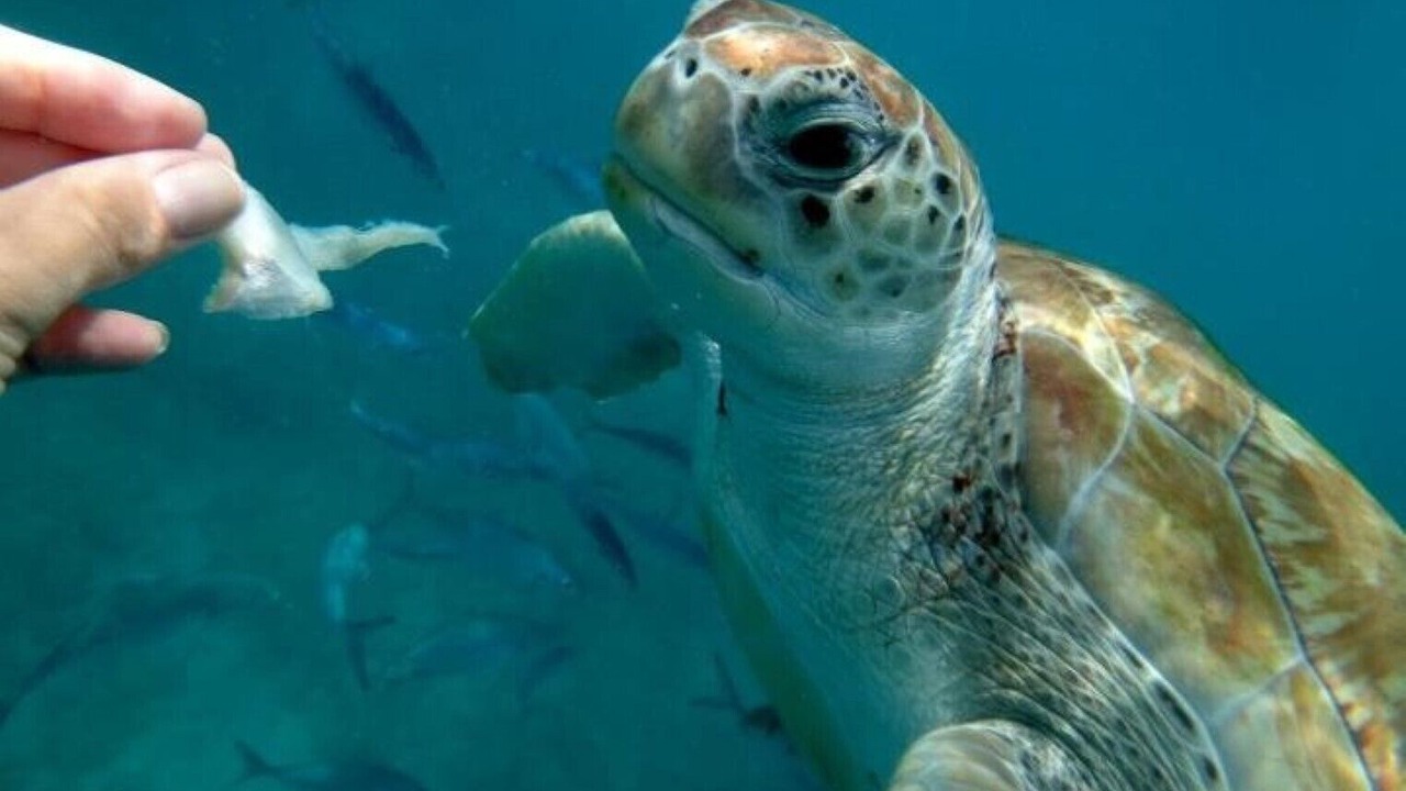 Photo of Others in Blue Waters