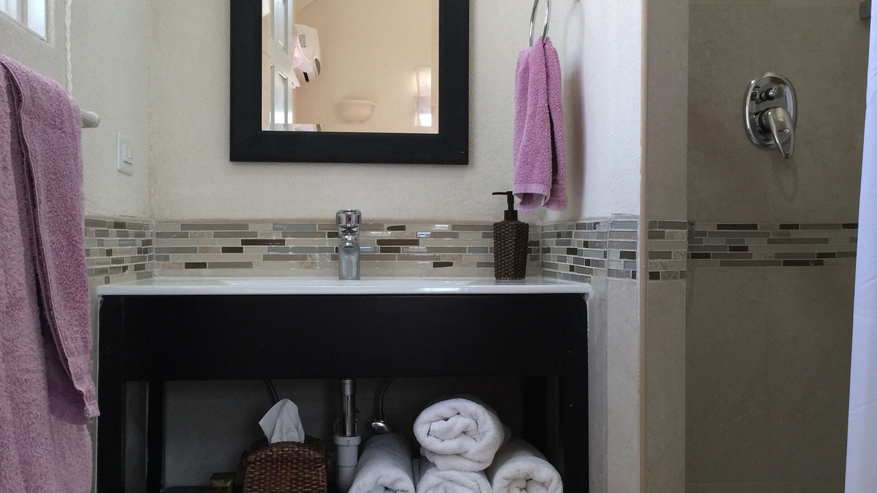 Photo of Bathroom in Apple Hall