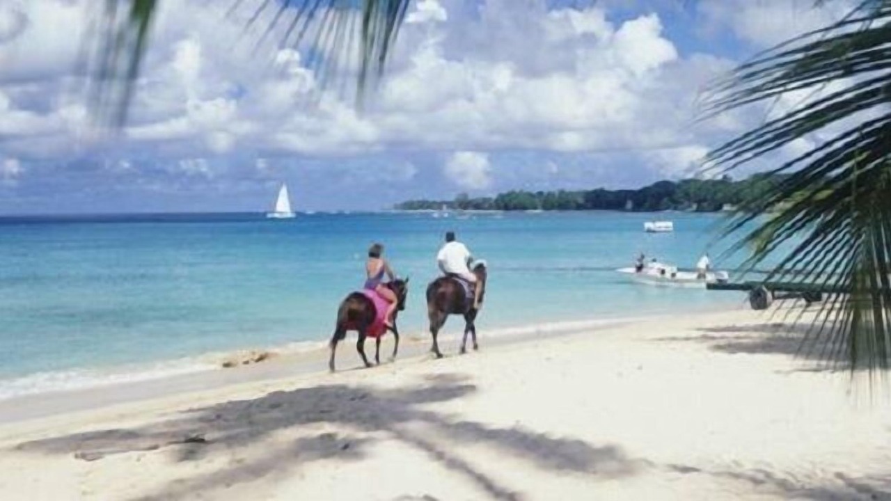 Photo of Others in Merlin Bay
