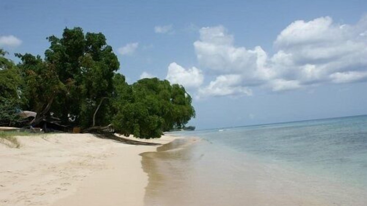Photo of Others in Merlin Bay
