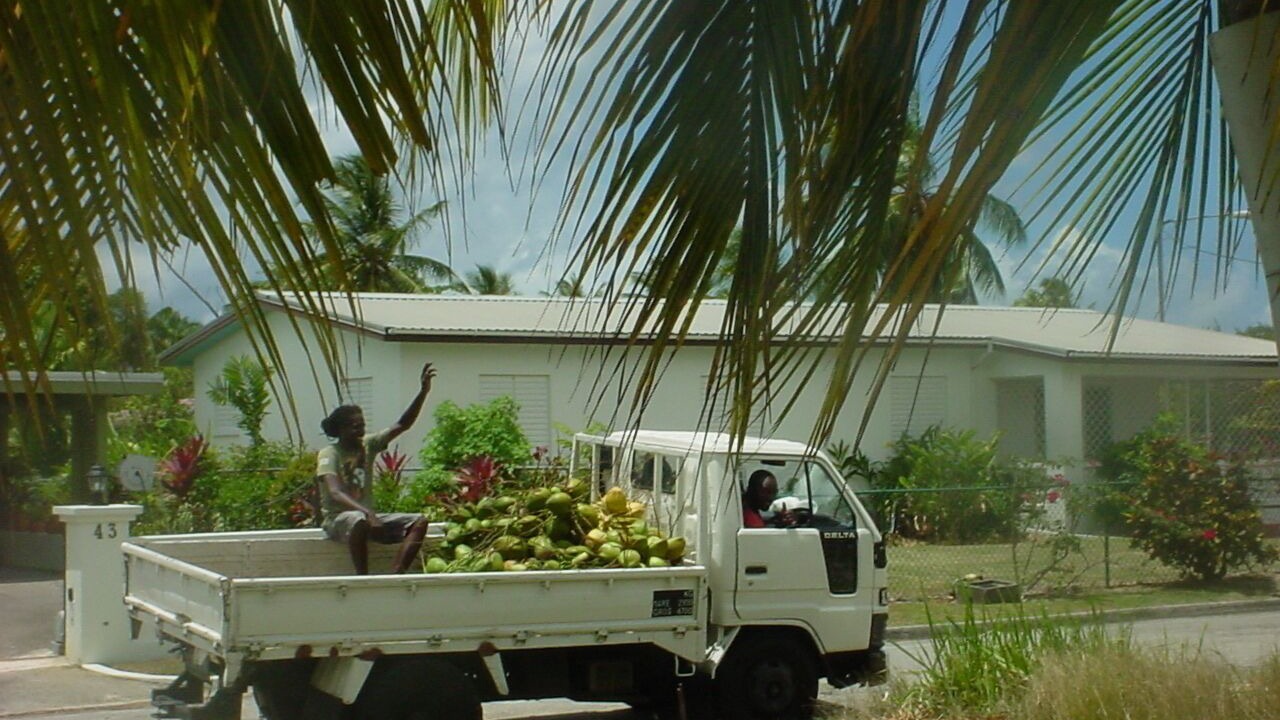 Photo of Others in Lascelles
