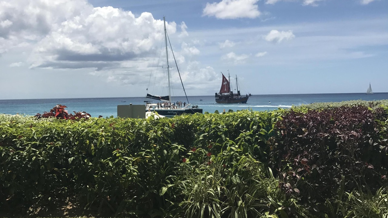 Photo of Outdoor in Old Trees Bay