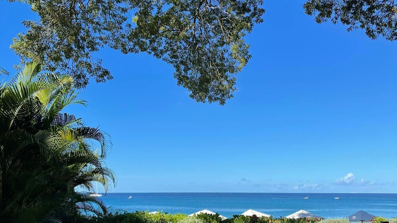 Photo of Others in Old Trees Bay