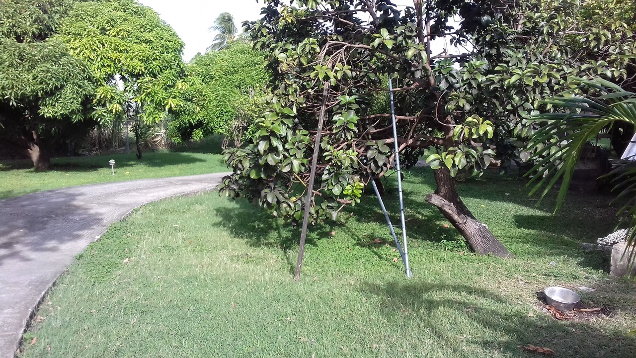 Photo of Outdoor in Kendal