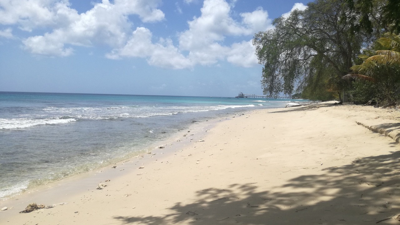 Photo of Others in Silver Sands