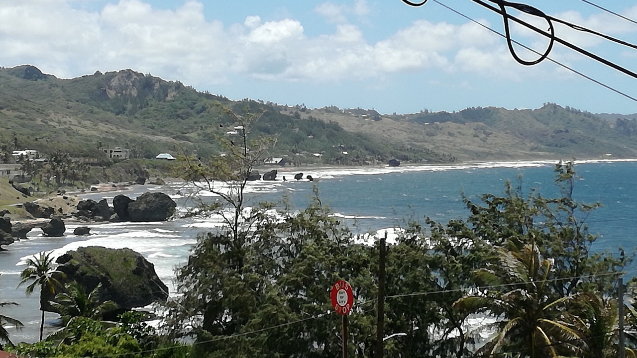 Photo of Others in Silver Sands