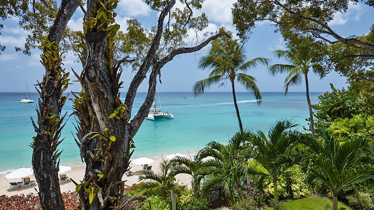 Photo of Others in Old Trees Bay