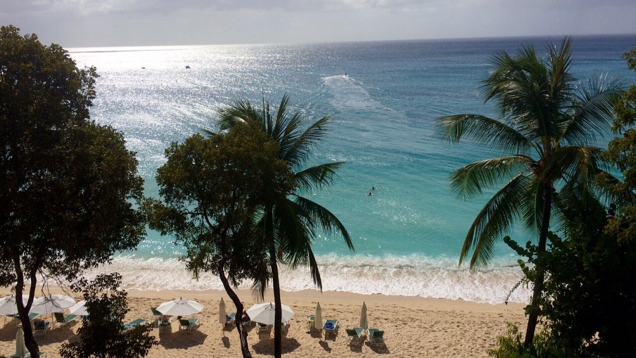 Photo of Others in Old Trees Bay