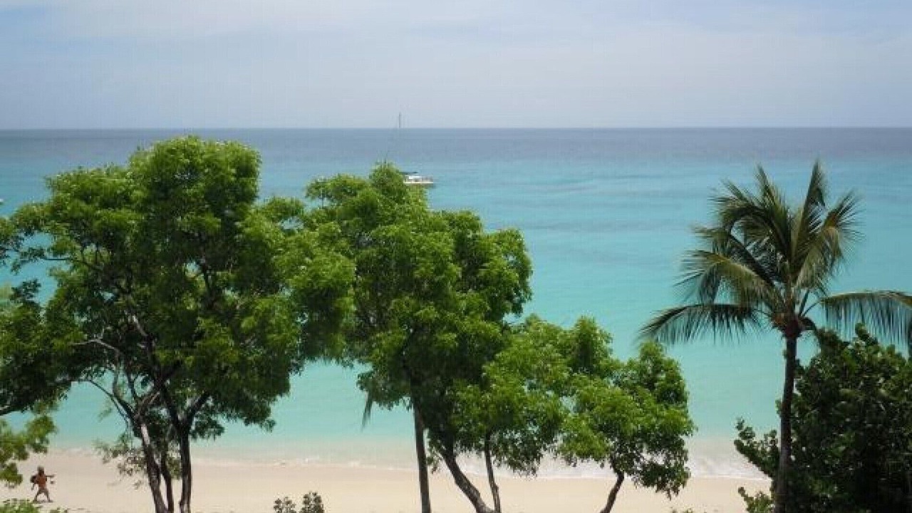 Photo of Others in Old Trees Bay