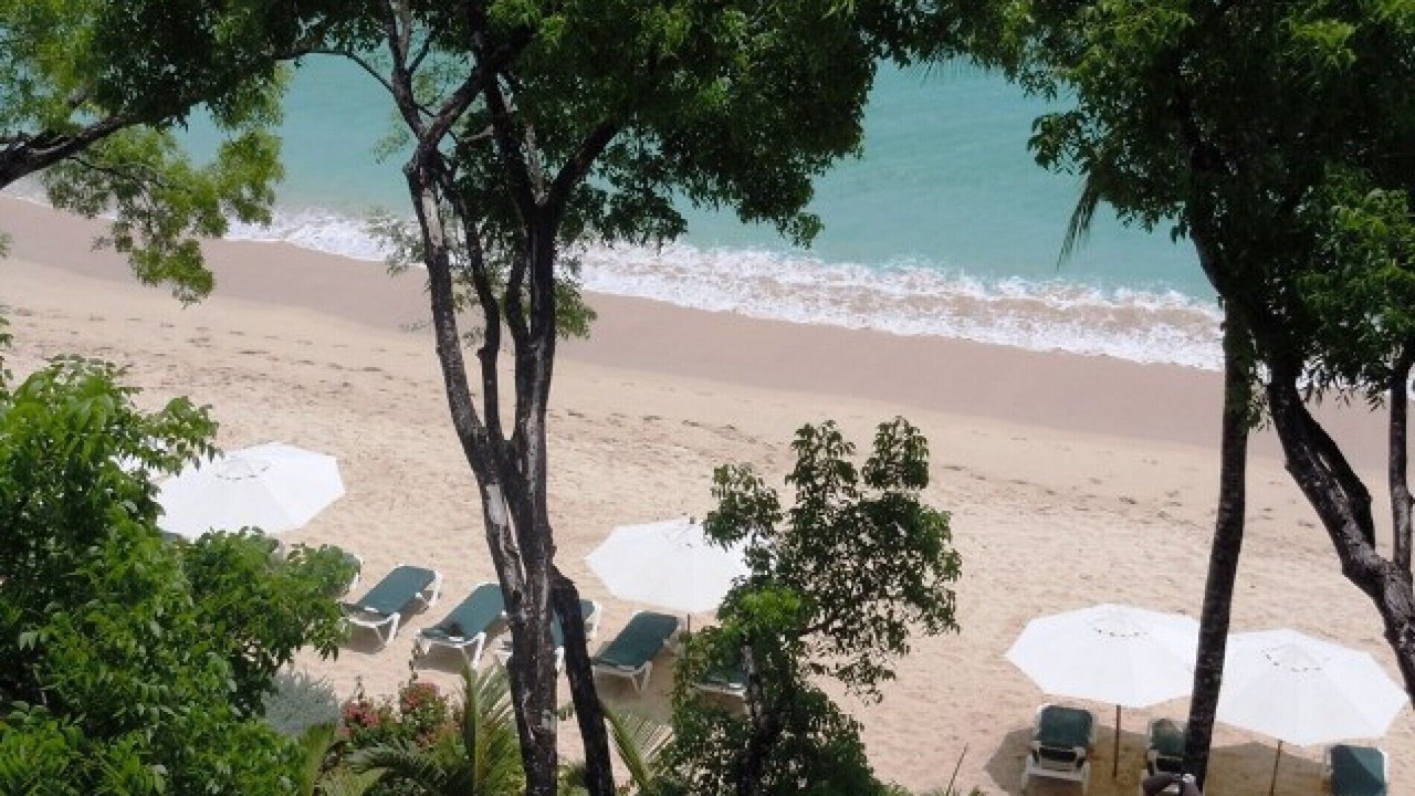 Photo of Others in Old Trees Bay