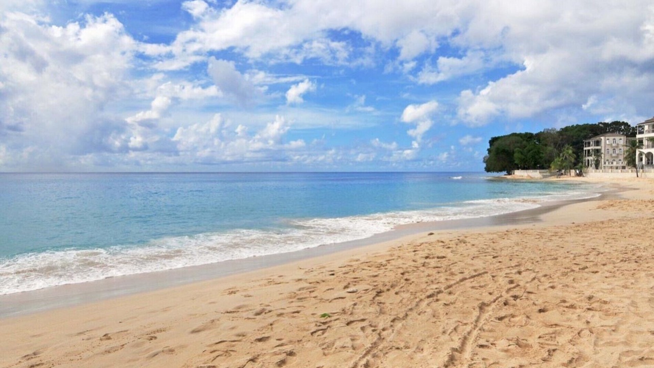 Photo of Others in Old Trees Bay