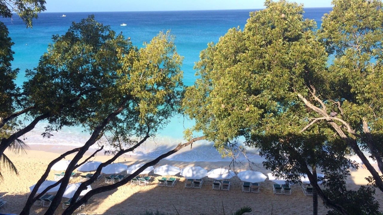 Photo of Others in Old Trees Bay