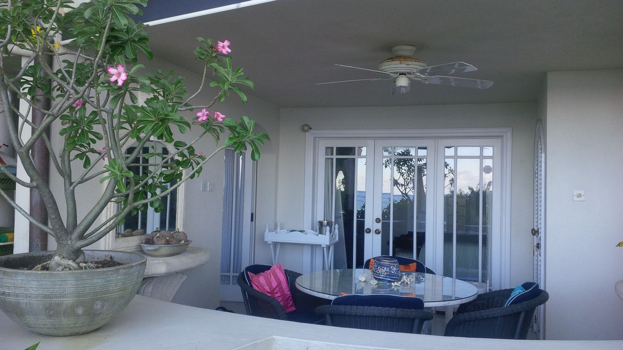 Photo of Others in Reeds Bay