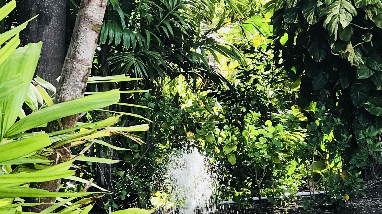 Photo of Outdoor in Gibbs Bay