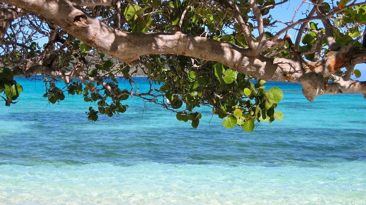 Photo of Others in Sandy Lane