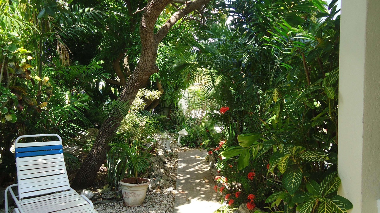 Photo of Outdoor in Sunset Crest