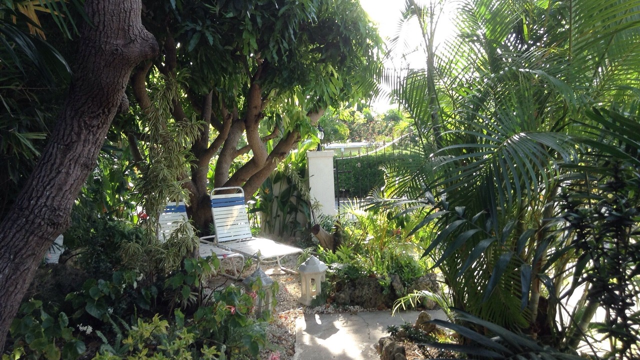 Photo of Outdoor in Sunset Crest