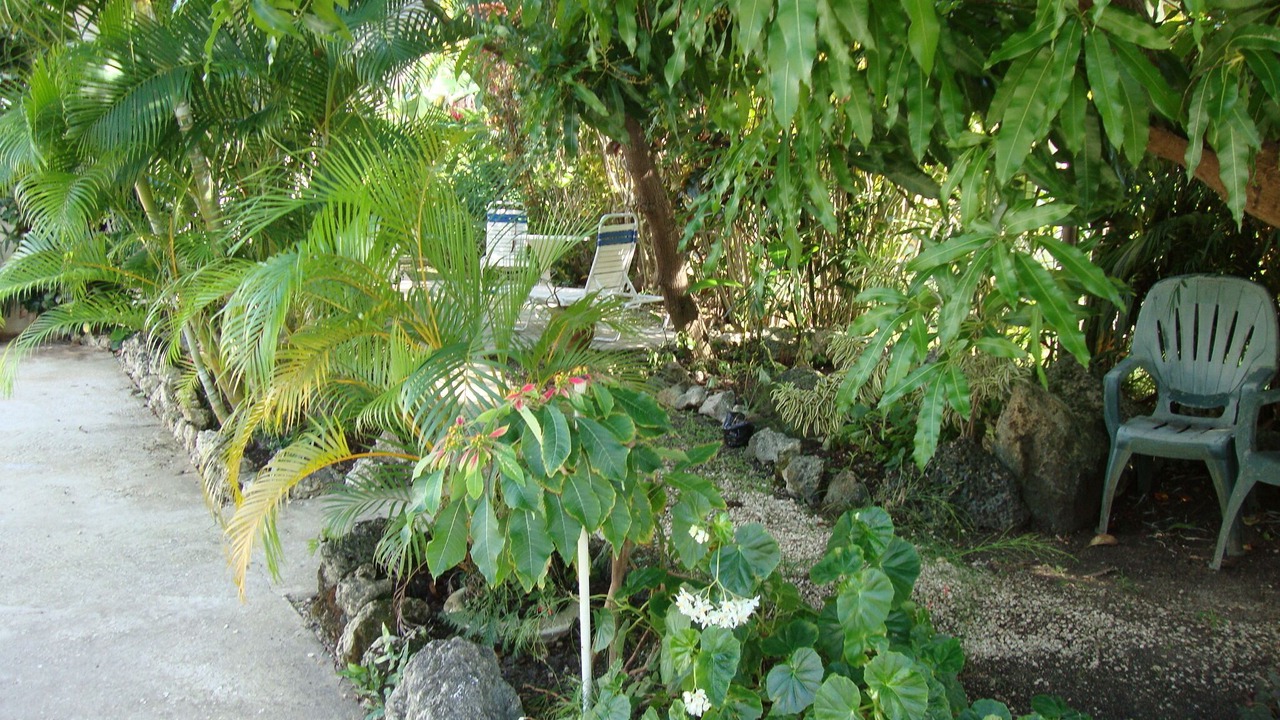 Photo of Others in Sunset Crest