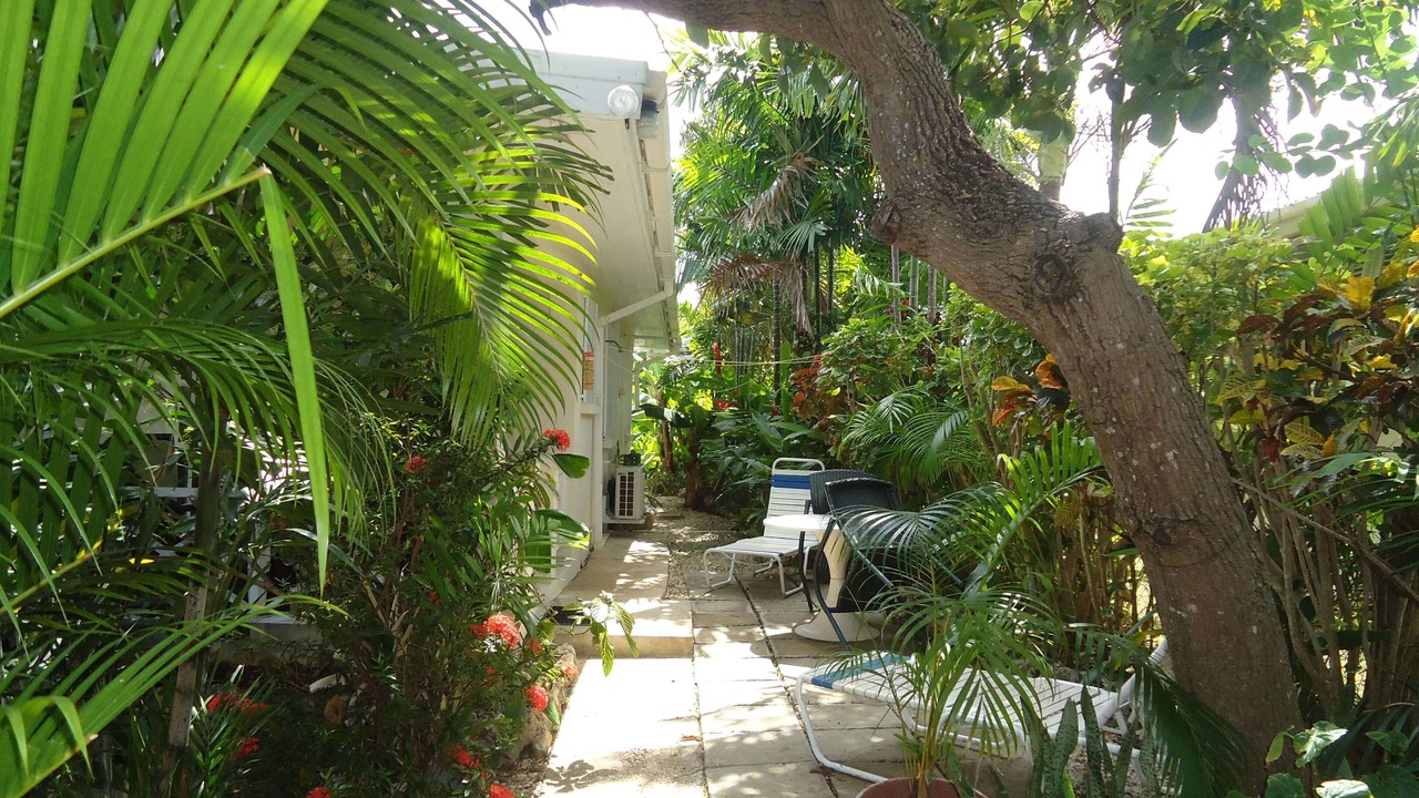 Photo of Outdoor in Sunset Crest
