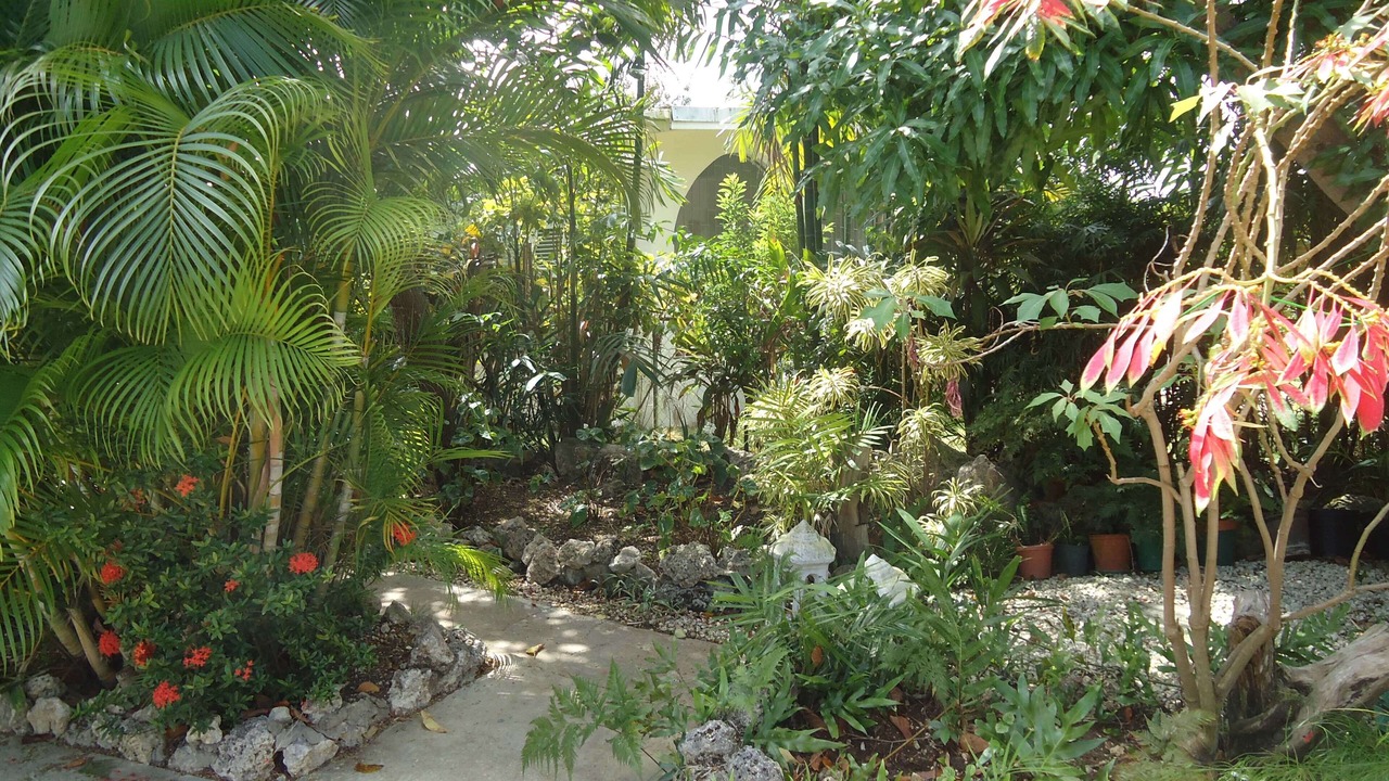 Photo of Outdoor in Sunset Crest