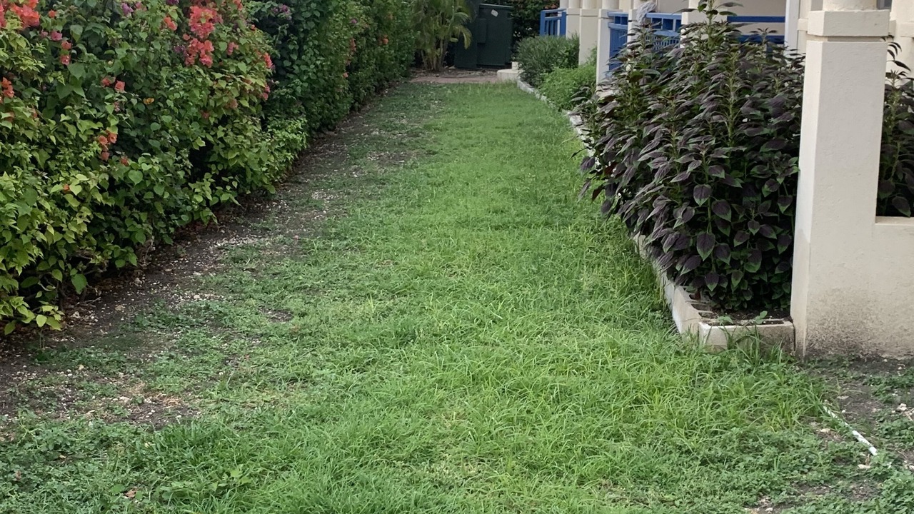 Photo of Outdoor in Silver Sands