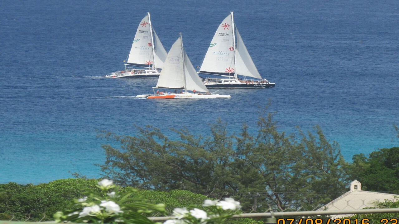 Photo of Others in West Terrace