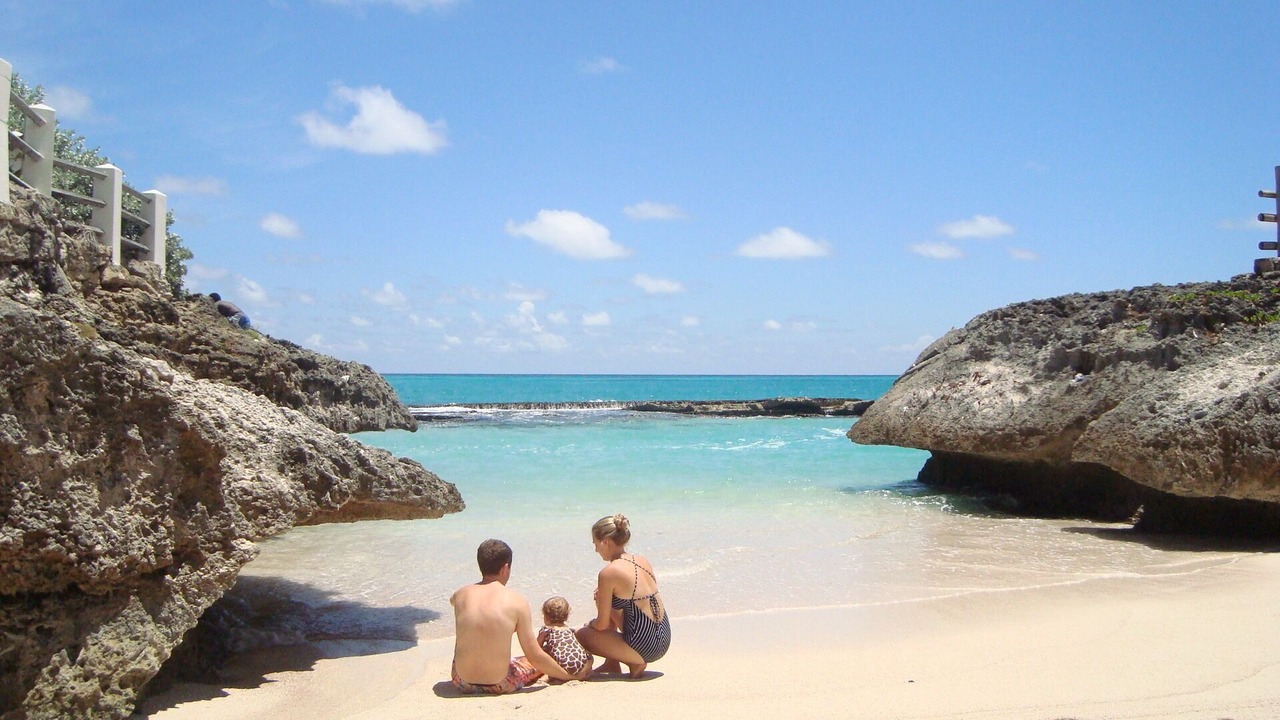 Photo of Others in Long Bay