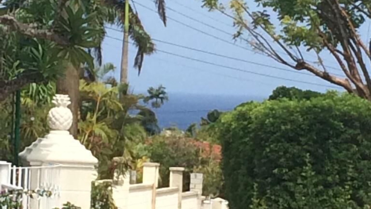 Photo of Others in Halcyon Heights