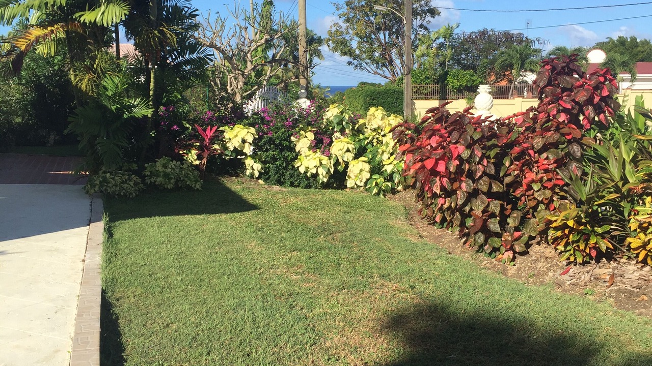 Photo of Outdoor in Halcyon Heights