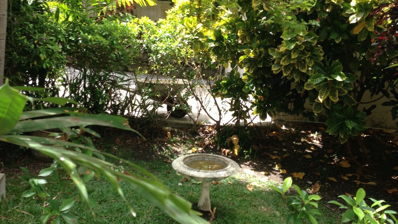 Photo of Outdoor in Pine Gardens