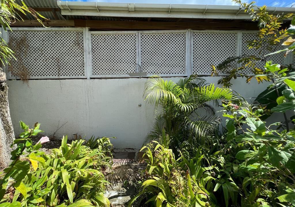 Photo of Outdoor in St. Lawrence Gap