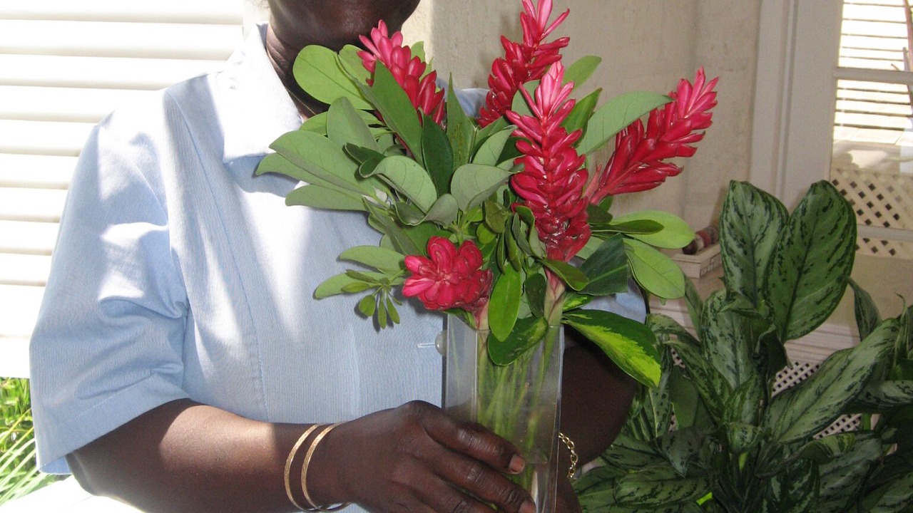 Photo of Others in Westmoreland