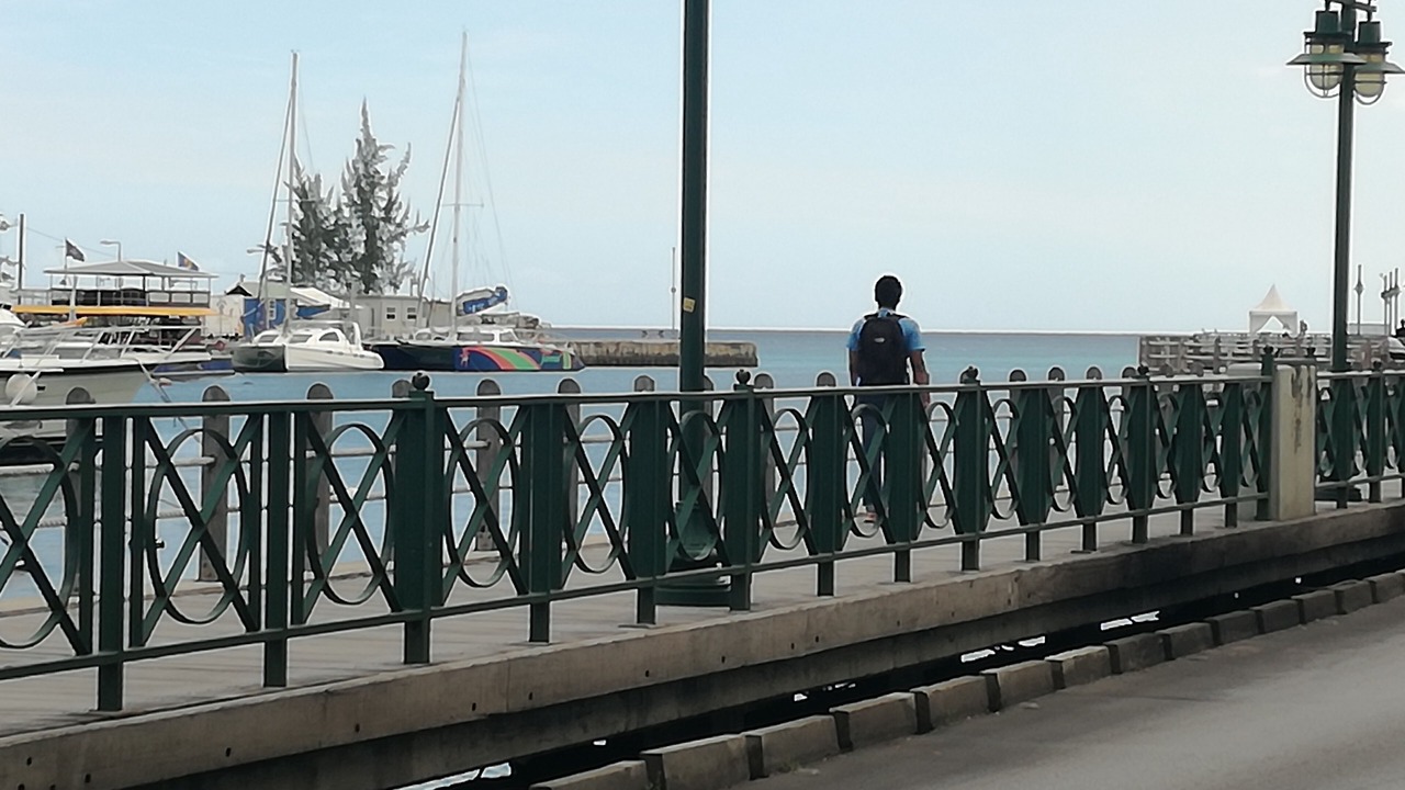 Photo of Others in St. Lawrence Gap