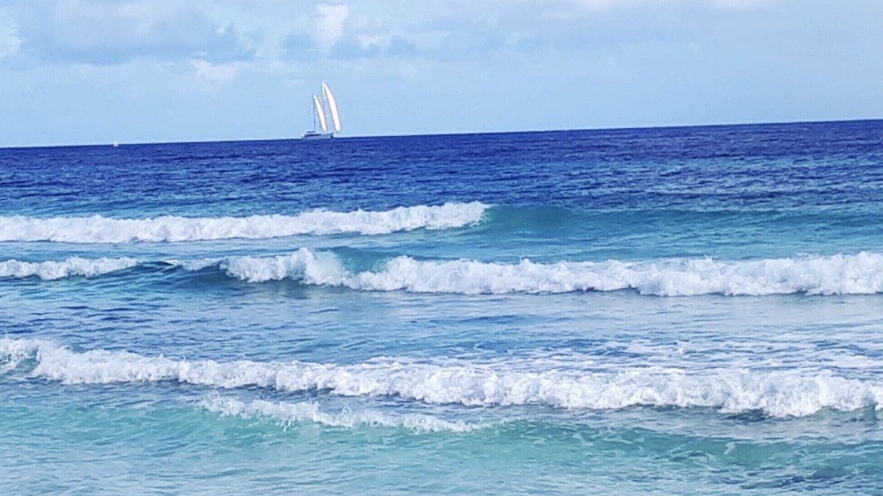 Photo of Others in Blue Waters