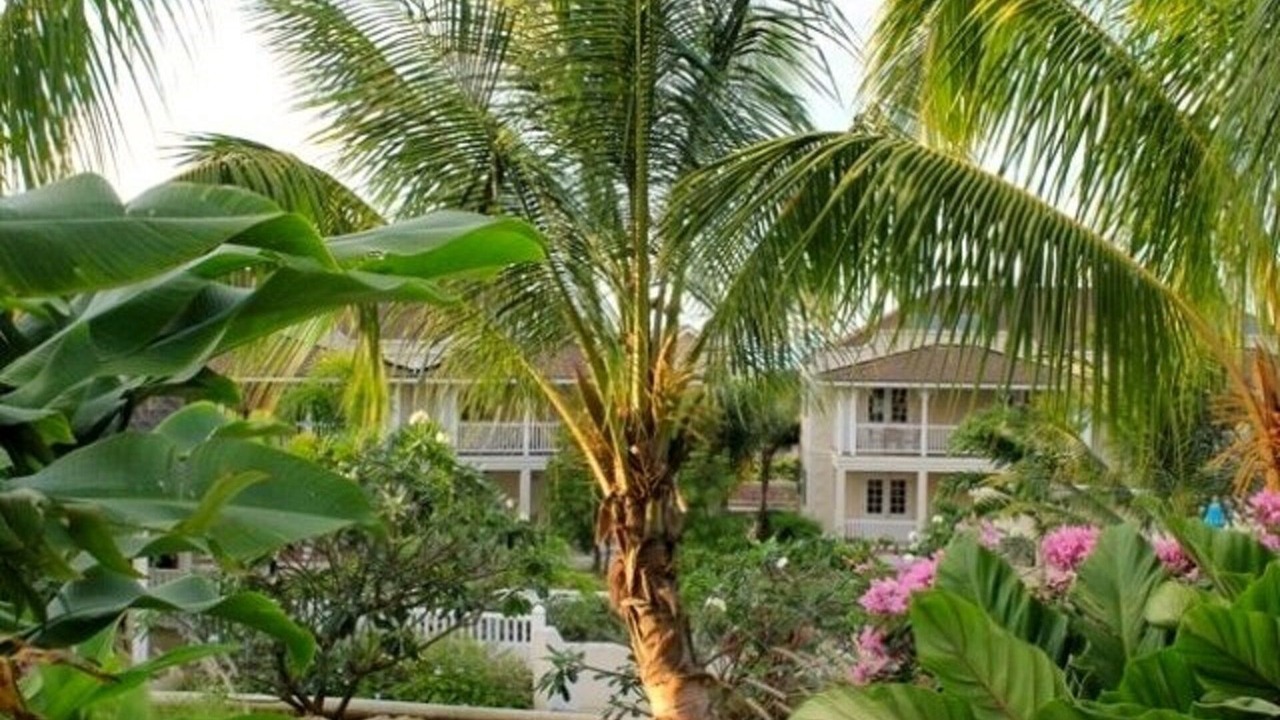 Photo of Outdoor in Speightstown