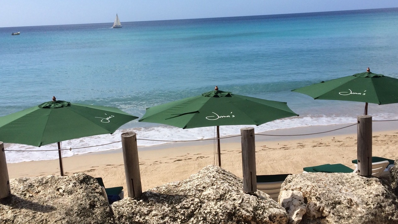 Photo of Others in Speightstown