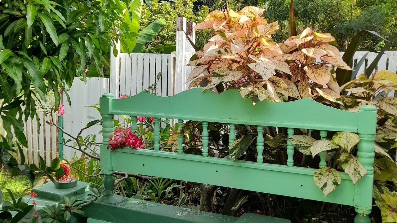 Photo of Outdoor in Retreat