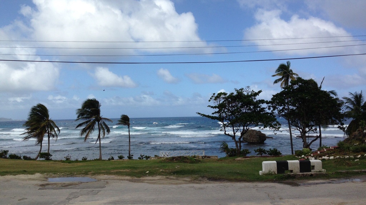 Photo of Others in Halcyon Heights