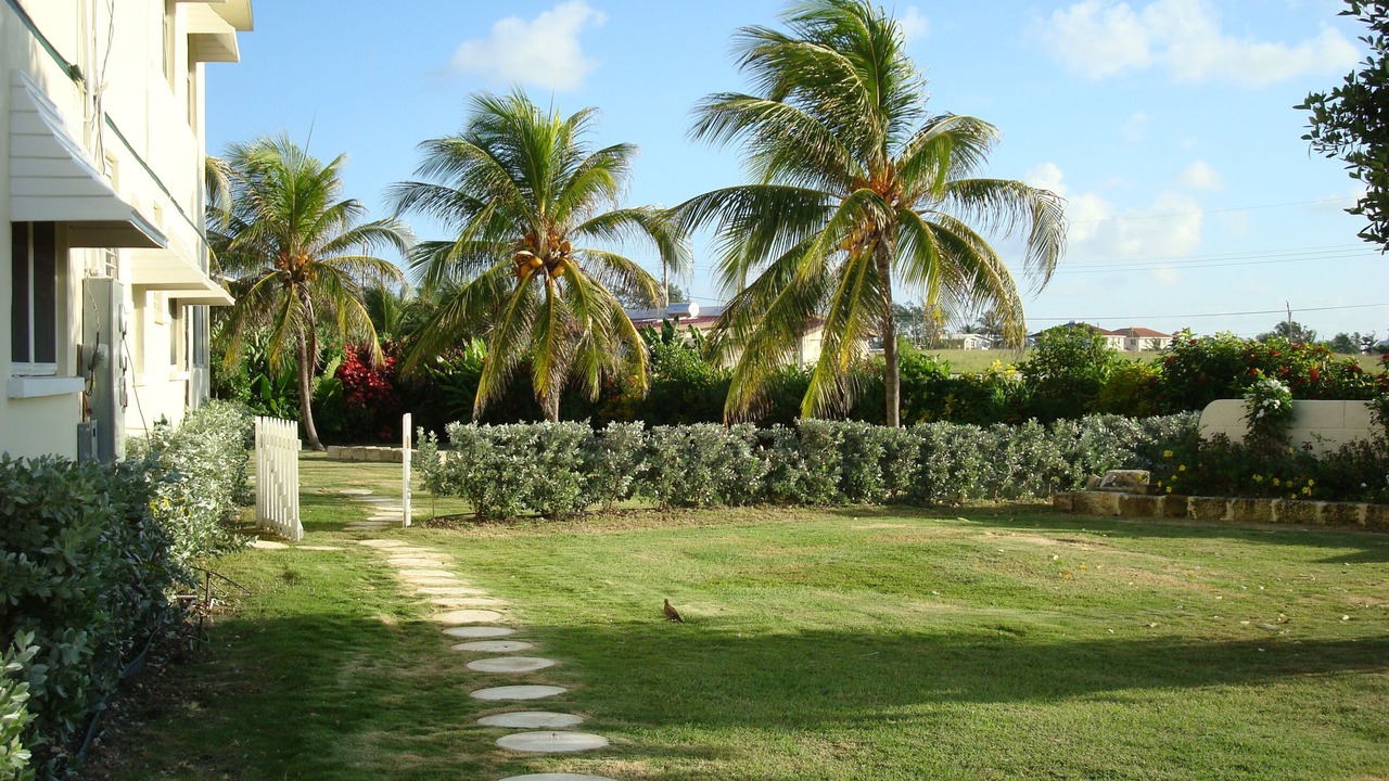 Photo of Outdoor in Belair