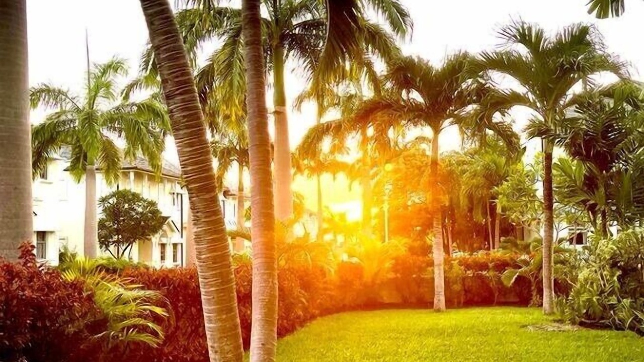 Photo of Outdoor in Little Battaleys